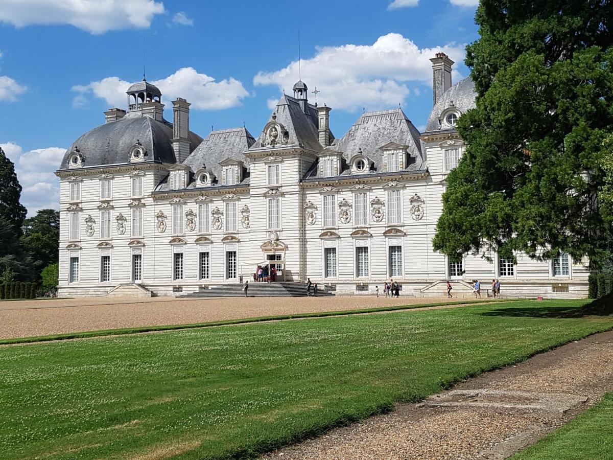 Le Clos De La Deesse La Ferté-Saint-Cyr Zewnętrze zdjęcie