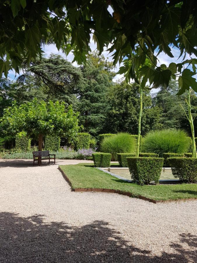 Le Clos De La Deesse La Ferté-Saint-Cyr Zewnętrze zdjęcie